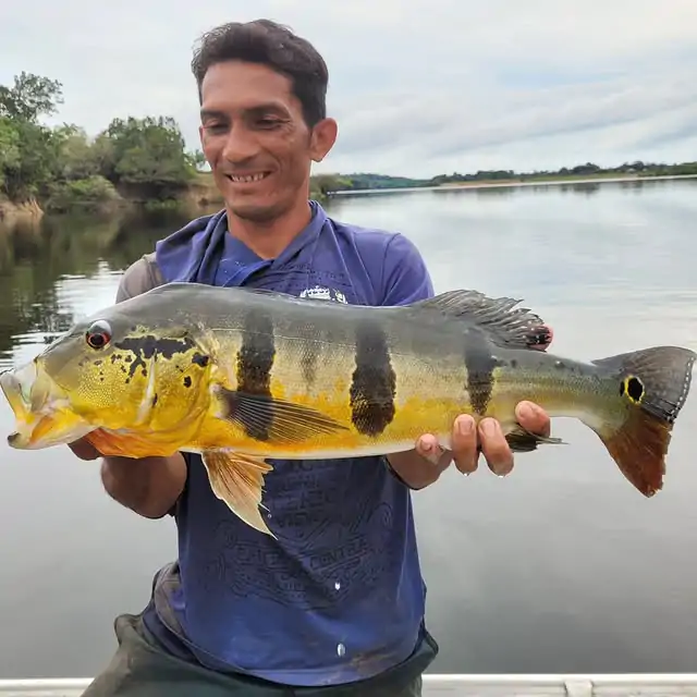 Pesca 7
