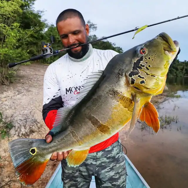 Pesca 8